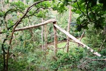 AH-Ausflug 2020 3 03