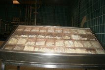 Erdinger Fuehrung 2019 20