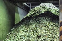 Ausgliederung FS 2025 02