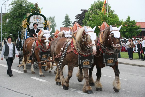 Volksfesteinzug_2009_05.JPG